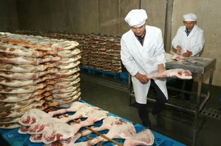 明日立冬 许多东阳人又要干这事了 内含视频