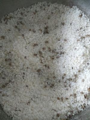 自制鸭胗干(致敬稻香春鸭胗)