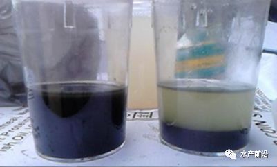 快速分解底泥,降氨氮 亚盐,这种超高活性矿物质产品到底什么来头