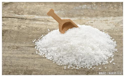 中国人餐桌上的盐 传统与现代的交融