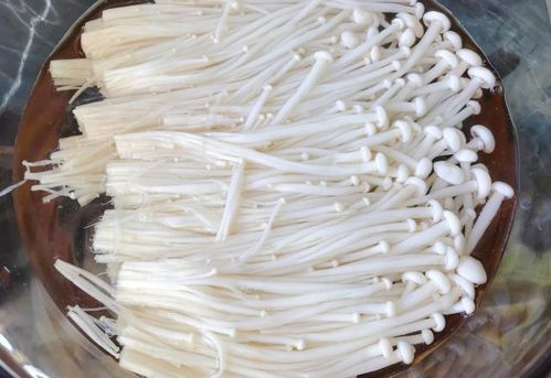 番茄配腌制盐 营养翻倍的健康佳肴